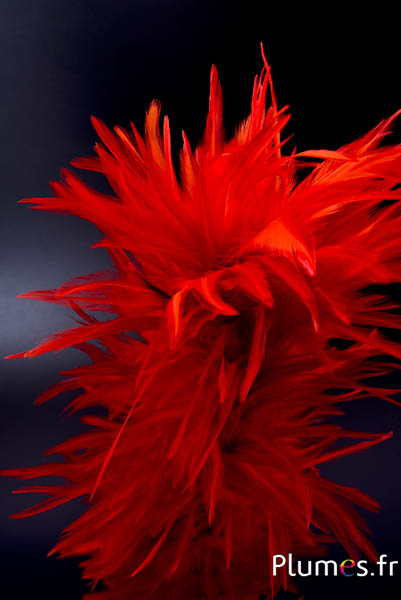 Plumet coq avec anneau -  hauteur 40 cm - orange sanguin